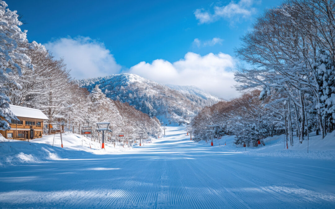 Your Fun + Frosty Guide to Traveling the Midwest This Winter.